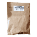 Paulownia Fortunei          (4 Rhizomes)