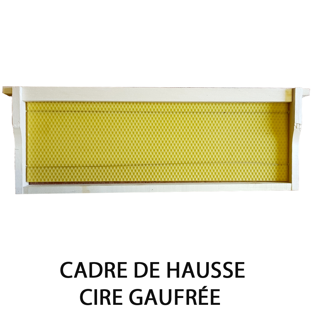 Cadre de hausse Dt avec cire gaufrée