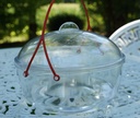 GLOBE transparent piège à FRELON