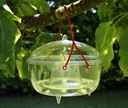 GLOBE transparent piège à FRELON