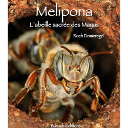 Mélipona, l'Abeille sacrée des Maya