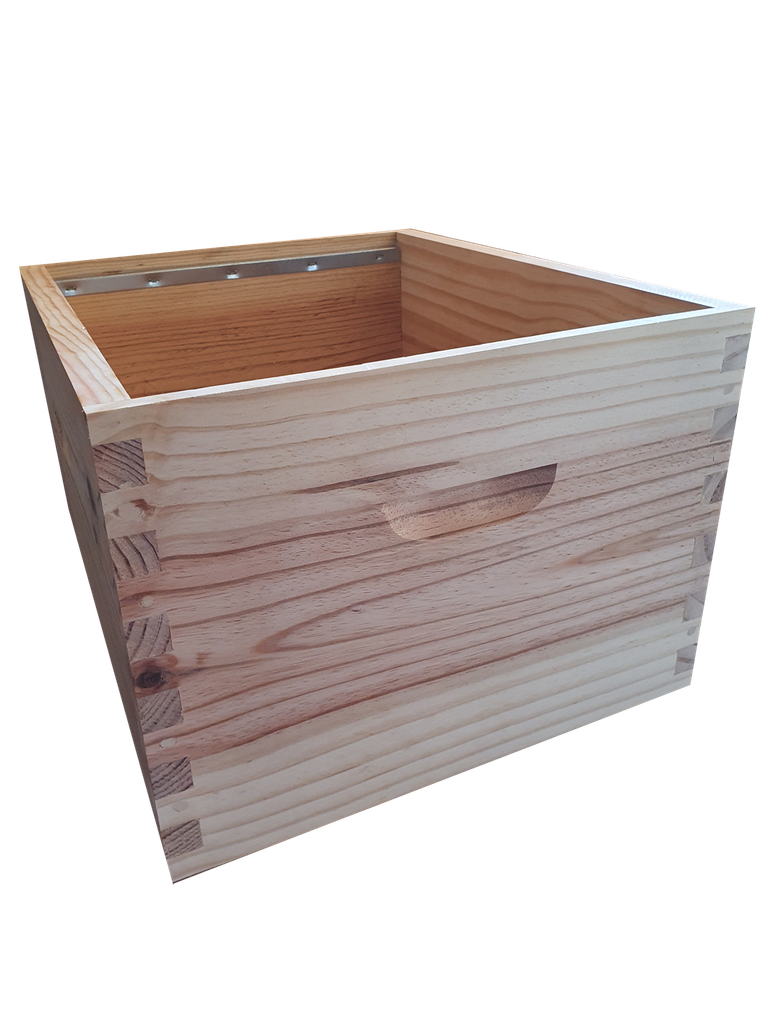 Corps Dt10 TENONS Bandes lisses