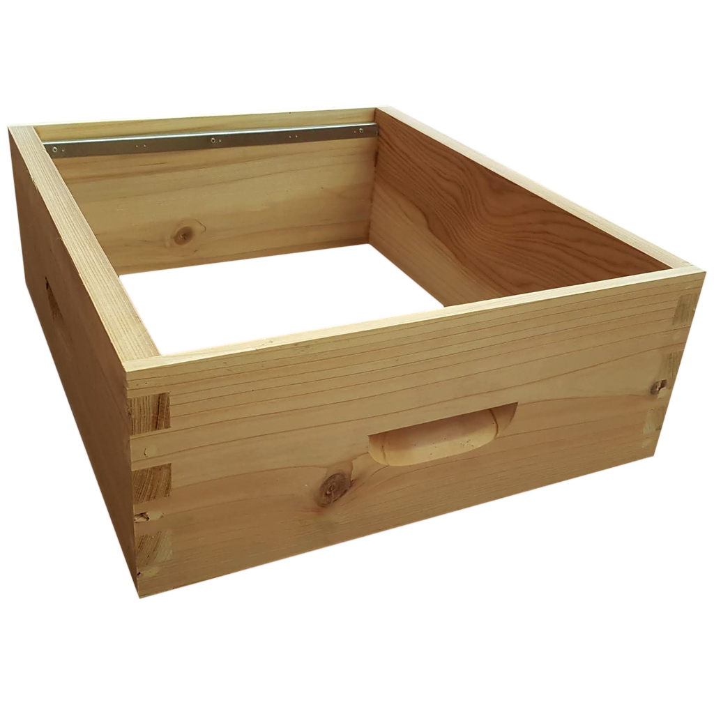 Hausse Dt 10 Bandes lisses CRYPTO