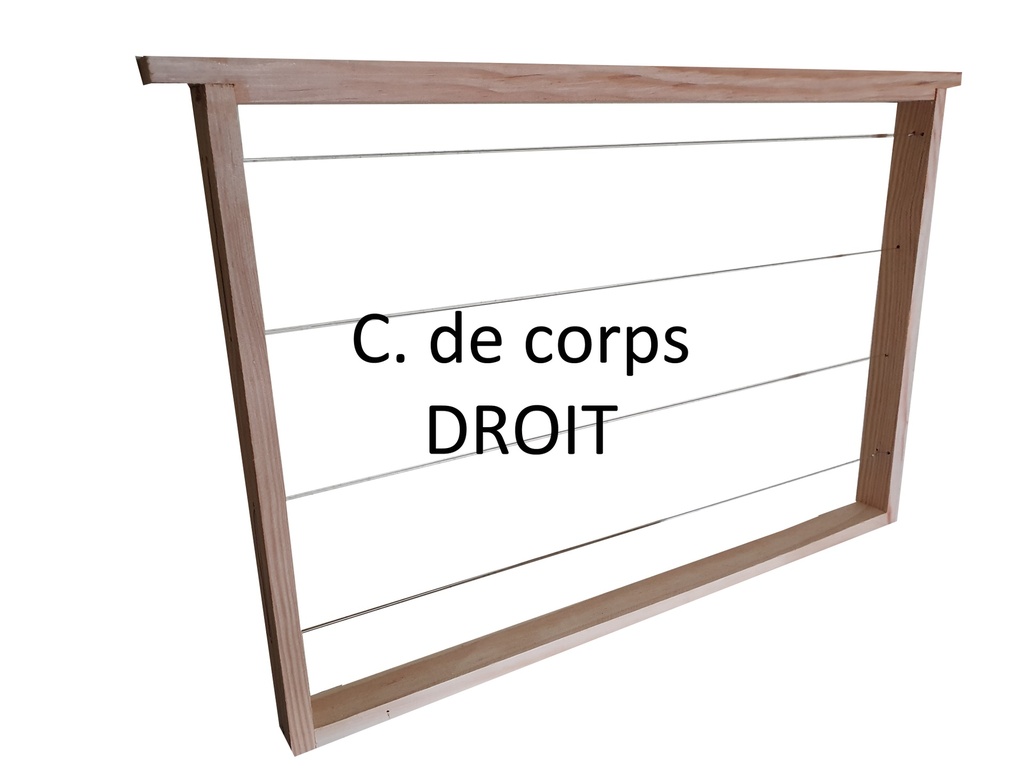 Cadre de corps Dt DROIT fil horiz