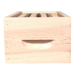 Hausse de ruchette Dt 5 Flavio