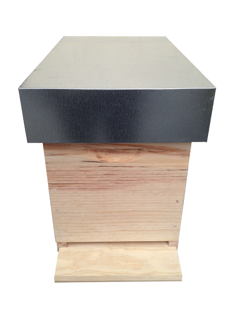 Toit ruchette Dt 6 Flavio bois et t