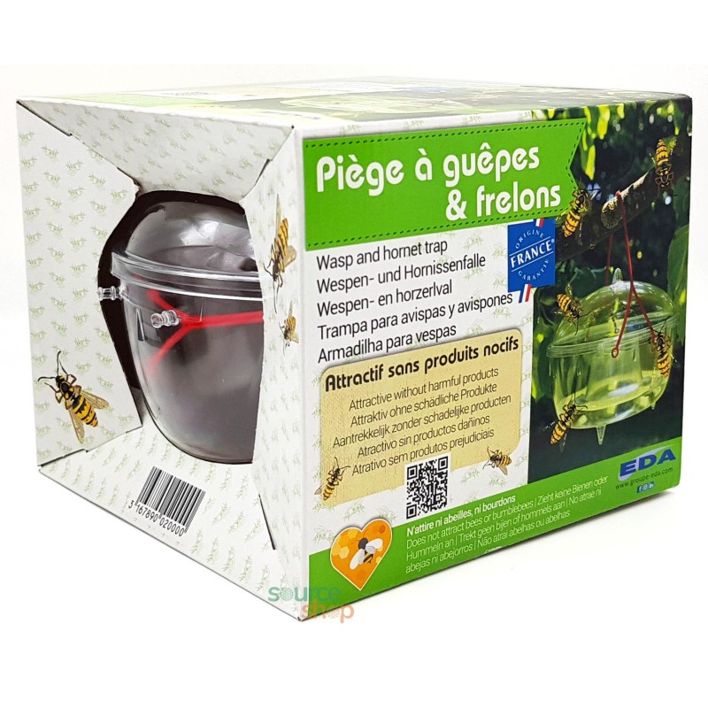 GLOBE transparent piège à FRELON