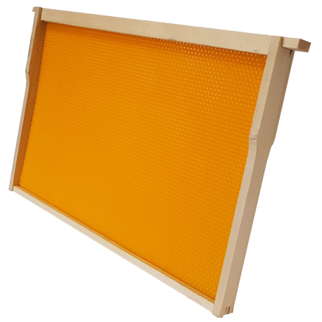 Cadre de corps + feuille plastique